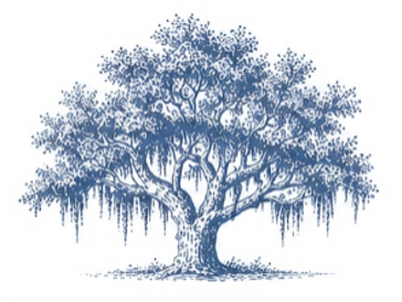 Live oak tree with Spanish moss